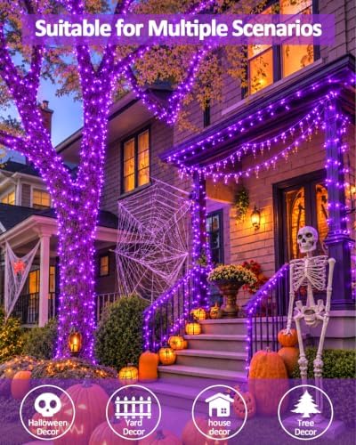 200 LED Connectable String Lights, 66FT Christmas Lights Outdoor Indoor