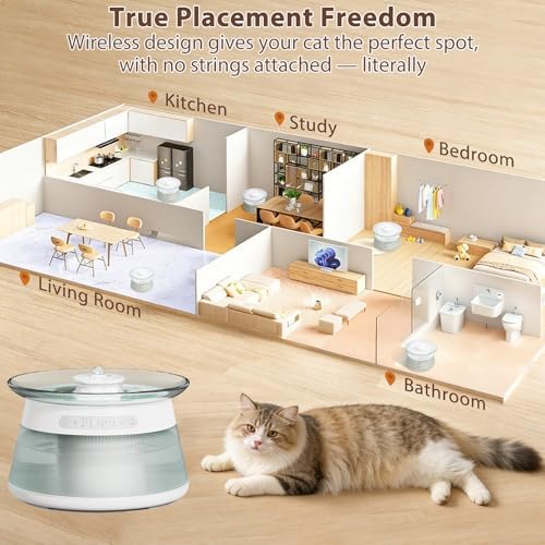 Smart Cat Water Fountain, Filterless Automatic Cat Drinking Fountain