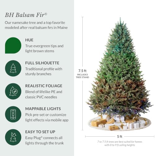 Balsam Hill BH Balsam Fir Full Tree - Realistic Artificial Christmas Tree with Premium Stand & Easy Assembly for Indoor Holiday Decorating, Twinkly, 7.5ft
