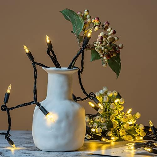 YULETIME 200 Warm White LED Christmas Lights, 66 ft Black Wire String Light