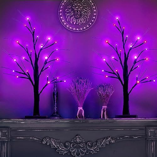 Halloween Decorations Indoor, 2 Pack 2FT Lighted Black Tree with Timer