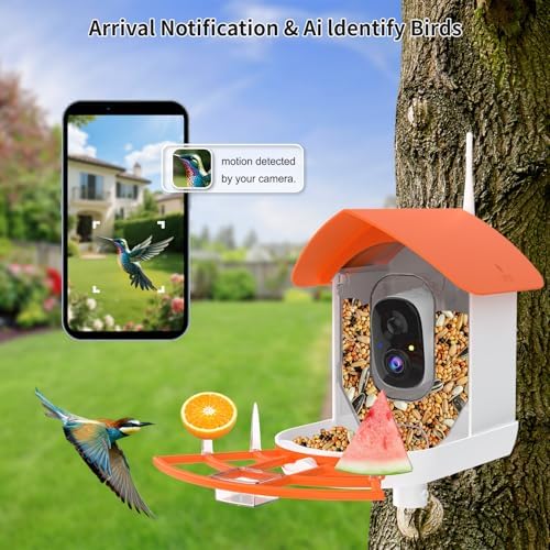 Fazoxo Bird Feeder with Camera,Birds House Camera,Solar Powered,Orange