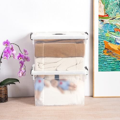Cetomo Lidded Storage Bin with Handle, Storage Bins with Lid, Organizing Container with Secure Latching Buckles, Stackable and Nestable, Plastic, 50 Quart-6 Pack, Clear