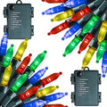 Dazzle Bright Battery Operated Christmas Lights, 2 Pack Total 32Feet 100LED Clear Mini String Lights Waterproof with 8 Modes for Xmas Indoor Outdoor Yard Holiday Wedding Decorations (Multi Color)