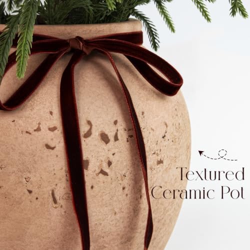 Christmas Decorations - 24" Real Touch Artificial Pine Tree in Ceramic Pot