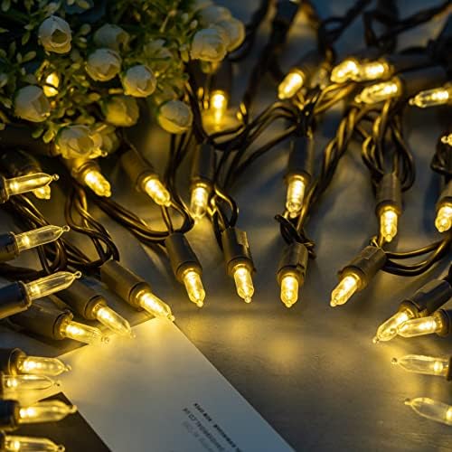YULETIME 200 Warm White LED Christmas Lights, 66 ft Brown Wire String Light
