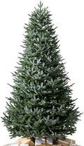 Balsam Hill European Silver Fir - Elegant Artificial Christmas Tree with True Needle Foliage Available Unlit or with LED Clear Lights, Unlit, 5'
