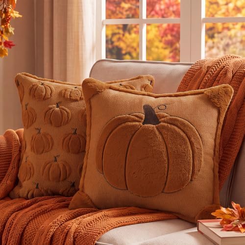 Fall Throw Pillow Covers 18x18 Set of 2 Reversible Rust Pumpkin Plush