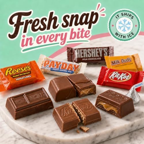 Halloween Chocolate Candy Variety Pack, Assorted Pinata Mini Bars Bulk 8 lb