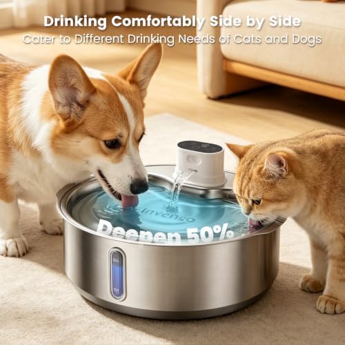Invengo 8L/270oz Cordless Stainless Steel Dog Water Fountain, 1 Filter