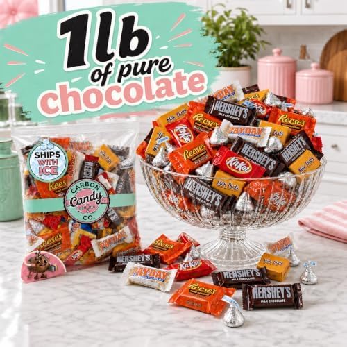 Halloween Chocolate Candy Variety Pack, Assorted Pinata Mini Bars Bulk 1 lb