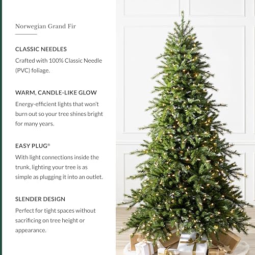 Balsam Hill Norwegian Grand Fir - Traditional Slim Artificial Christmas Tree with Classic Needle Foliage, LED Clear, 7'