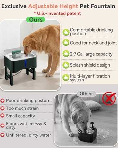 UPSKY 11L Elevated No-Spill Dog Water Fountain with 4 Adjustable Heights