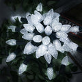 AWQ 300LED 108 FT C6 Christmas String Lights Plug in White Decorations