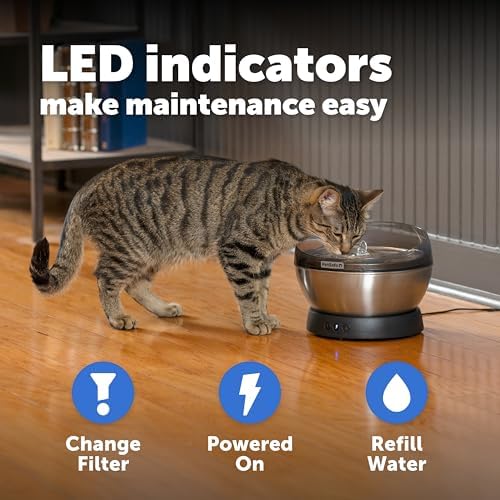 PetSafe HydroSphere 60 oz Stainless Steel Pet Fountain - Filtered Water Fountain for Cats and Small Dogs - Dishwasher Safe - Quiet, Wire-Free Pump - Easy to Clean