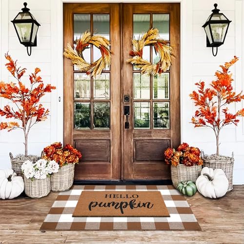 Homydecor Buffalo Plaid Outdoor Rugs, 28'' x 43'' Coffe and White Checkered Area Rug, Layering Rug for Hello/Welcome Door Mat, Washable Cotton Woven Farmhouse Mat for Front Porch Décor