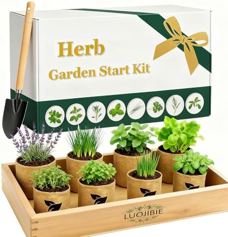 Indoor Herb Garden Start Kit - Unique Gifts for Women, Mothers Day Gifts, Easy House Plant- Birthday for Women,House Warming Gift New Home- Fresh Herb Garden DIY Crafts for Adults