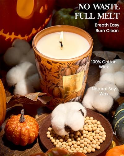 M&SENSE Pumpkin Spice Soy Candle, 14.1oz, Thanksgiving Halloween Candles