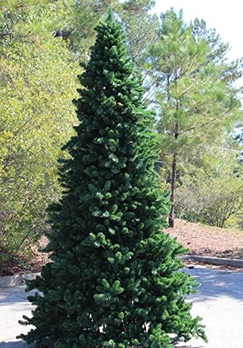 Northlight Olympia Pine Artificial Christmas Tree - Warm White LED 18'