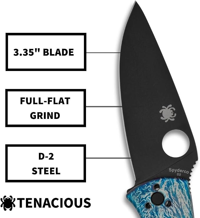 Spyderco Tenacious Disarray Folding Pocket Knife, PlainEdge | 7.74" Overall Length, Black Oxide 3.3" D2 Steel Blade, Titanium Handle, R.I.L Lock, Full-Flat Grind