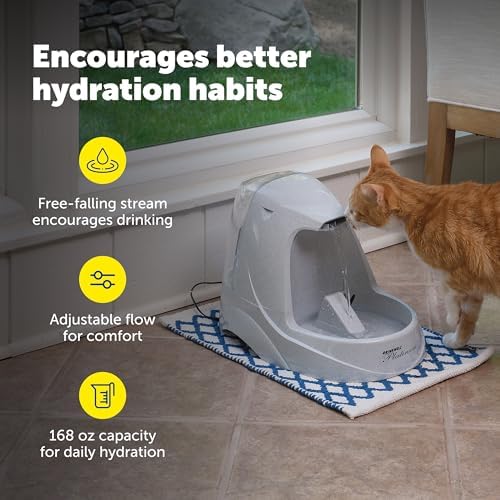 PetSafe Drinkwell Platinum Cat Water Fountain, Includes 12 Carbon Filters