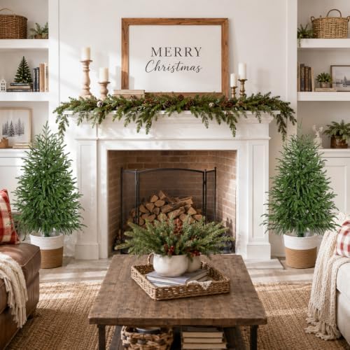 3FT 2PCS Artificial Small Christmas Tree, Norfolk Pine Tree Potted