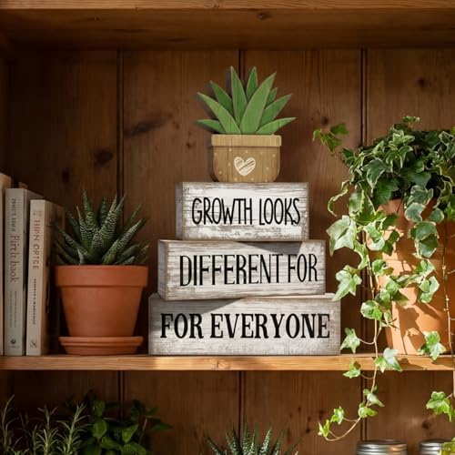 Lineshading 4 Pcs Farmhouse Table Decor, Inspirational Office Shelf Decor