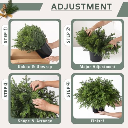 2 Set Artificial Christmas Norfolk Pine Topiary Ball Tree for Front Door