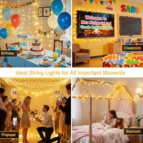 Pooqla 500 LED Warm White Christmas Lights Outdoor String Lights, 164 ft