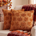 Fall Pillow Covers 20x20 Set of 2 Double-Sided Plush Maple & Pumpkin