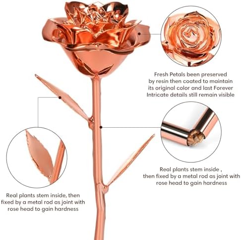 Anthonic Gold Dipped Infinity Rose Last Forever Flower Decor, Birthday Gift for Women in Her Birthday Valentines Day Mothers Day, Resin Preserved Rose | Anniversary Present for Mom (Rose Gold)