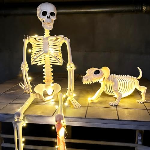 Lighted Human & Dog Skeleton Halloween Decorations Outdoor/Indoor