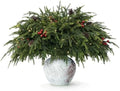 20-Piece Set 23" Norfolk Pine Stems, Norfolk Pine Branches with LED Lights