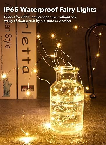 Brightown 12 Pack 7ft Battery Operated LED Fairy Lights for Xmas Decoration