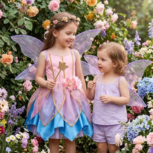 Latocos Fairy Dress Costume for Girls, Toddler Fairy Dress Butterfly Wings