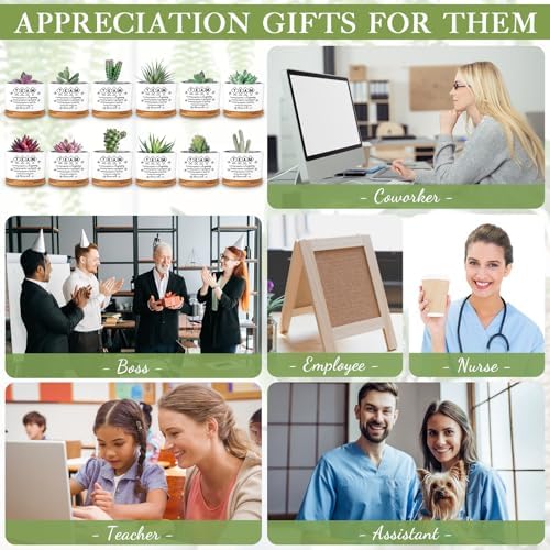 12 Pcs Team Appreciation Gifts for Employees Succulent Pots