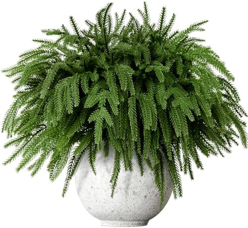 12 Pcs 18 Inch Real Touch Norfolk Pine Stems