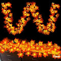 Timer - 2 Pack Fall Garland with Lights Total 20Ft 40LED Battery Operated
