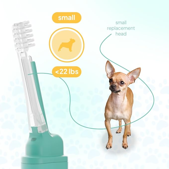 Electric Dog Toothbrush Small | Silent and Vibration-Free | Vet-Developed Electrolytic Technology | No Toothpaste Needed | Built-in Timer and App | Small Brush Head for Dogs Under 22 lbs