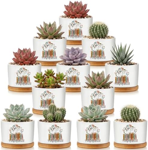 12 Pcs Paraprofessional Appreciation Gifts Succulent Planter Pots Ceramic Mini with Bamboo Trays Bulk for Teacher Assistant para Coworker Office Graduation Gifts, Plants Excluded