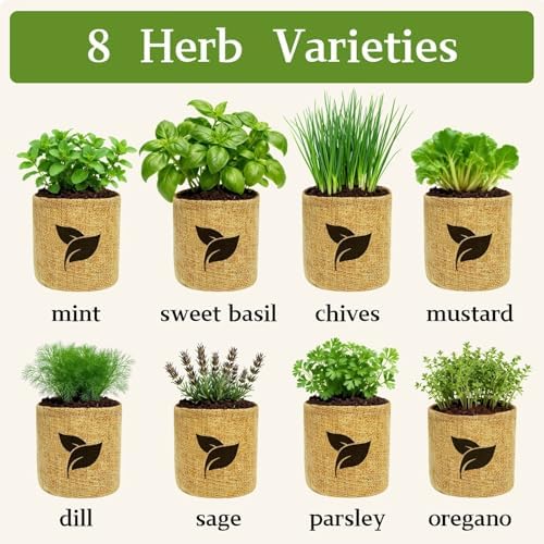 Indoor Herb Garden Start Kit - Unique Gifts for Women, Mothers Day Gifts, Easy House Plant- Birthday for Women,House Warming Gift New Home- Fresh Herb Garden DIY Crafts for Adults
