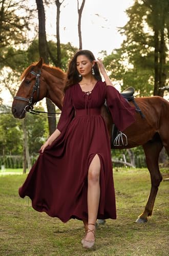 Scarlet Darkness Renaissance Costume Women Pirate Medieval Maxi Dress
