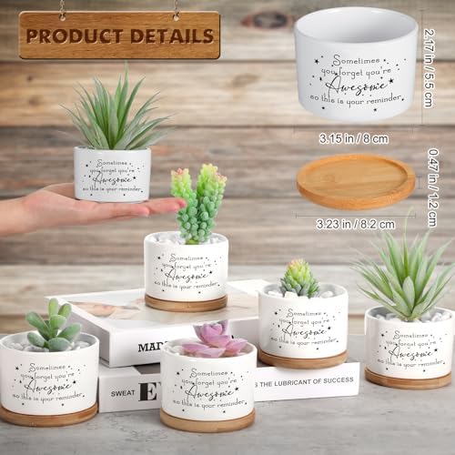 12 Pcs Inspirational Succulent Pots Thank You Employees Gifts Bulk