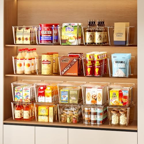 HOYOJA 10 Pack Clear Plastic Storage Bins Pantry Organizers Bin with Handle
