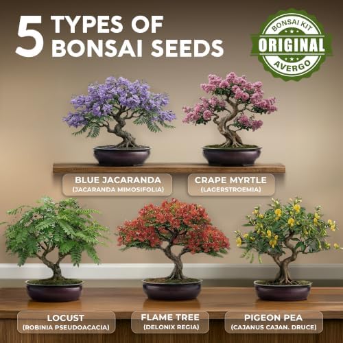 Bonsai Tree Kit Deluxe - Growing 5 Unique Japanese Bonzai Trees