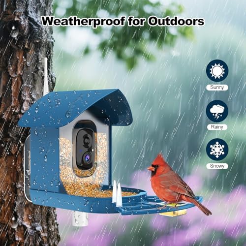 Fazoxo Bird Feeder with Camera,Birds House Camera,Solar Powered,AI Bird ID