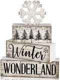 Lineshading 4 Pcs Winter Block Signs Wooden Farmhouse Tiered Tray Decor