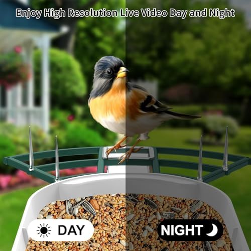 Fazoxo Bird Feeder with Camera,Birds House Camera,Solar Powered,AI Bird ID