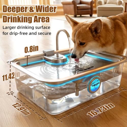 Casfuy ZT-80 Ultra-Large Quiet Stainless Steel Dog Water Fountain, 4.75-gal