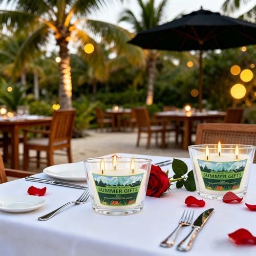 2 Pack 3-Wick Glass Cup Citronella Candles(14oz), Natural Soy Wax Clean Burning & Smokeless,citronella Scented Candle & Outdoor Candle,Camping Bar Counter Yard, Summer Gift.